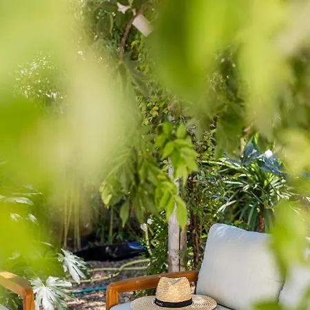 Apartment Le Clos De La Pinede Avec Ses Luxueuses 300 E Par Chambre Saint-Tropez
